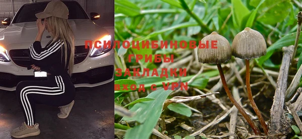 соль курить ск Лагань